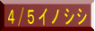 4/5イノシシ