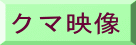 クマ映像 