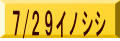 7/29イノシシ
