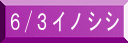6/3イノシシ
