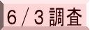 ６/３調査 
