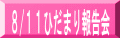 ８/１１ひだまり報告会 