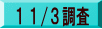 １１/３調査 