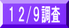１２/９調査