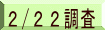 ２/２２調査 