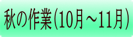 春の作業（２月～３月） 