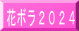 花ボラ2024