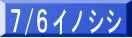 7/6イノシシ