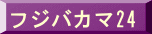 フジバカマ24