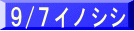 ９/７イノシシ 