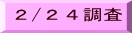 ２/２４調査 