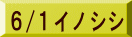 6/1イノシシ
