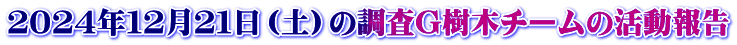 ２０２４年１２月２１日（土）の調査G樹木チームの活動報告
