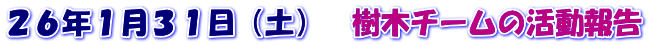 ２６年１月３１日（土）　樹木チームの活動報告