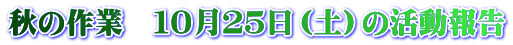 秋の作業　１０月２５日（土）の活動報告
