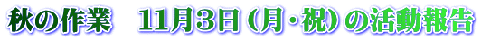 秋の作業　１１月３日（月・祝）の活動報告