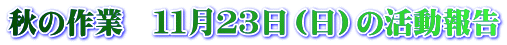 秋の作業　１１月２３日（日）の活動報告