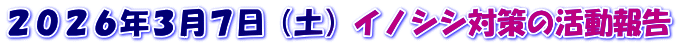 ２０２６年３月７日（土）イノシシ対策の活動報告