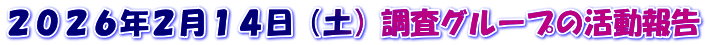 ２０２６年２月１４日（土）調査グループの活動報告