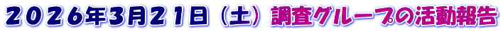 ２０２６年３月２１日（土）調査グループの活動報告