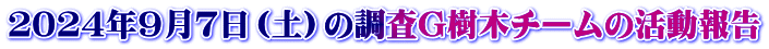 ２０２４年９月７日（土）の調査G樹木チームの活動報告
