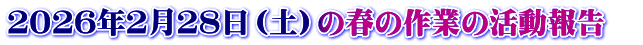 ２０２６年２月２８日（土）の春の作業の活動報告　