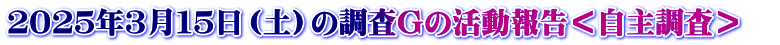 ２０２５年３月１５日（土）の調査Gの活動報告＜自主調査＞　