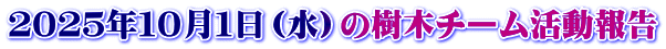 ２０２５年１０月１日（水）の樹木チーム活動報告