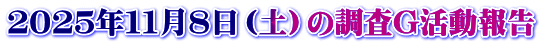 ２０２５年１１月８日（土）の調査G活動報告