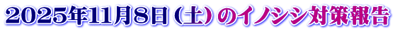 ２０２５年１１月８日（土）のイノシシ対策報告